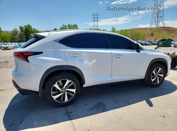JTJBARBZ0K2185628 2019 LEXUS NX White უკანა მარჯვენა