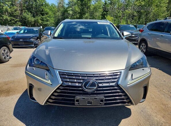 JTJBARBZ1K2184486 2019 LEXUS NX Серебряный Вид спереди
