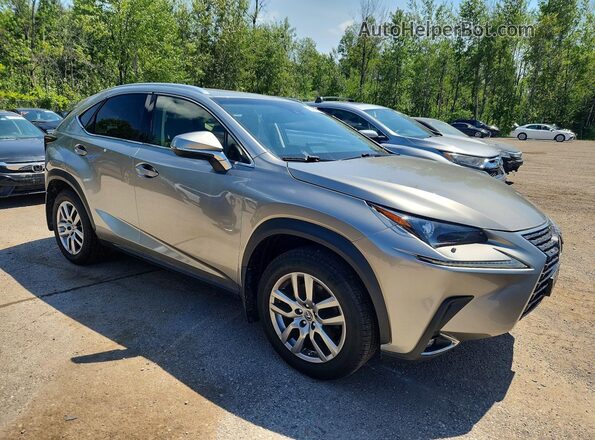 JTJBARBZ1K2184486 2019 LEXUS NX Серебряный Передняя правая четверть