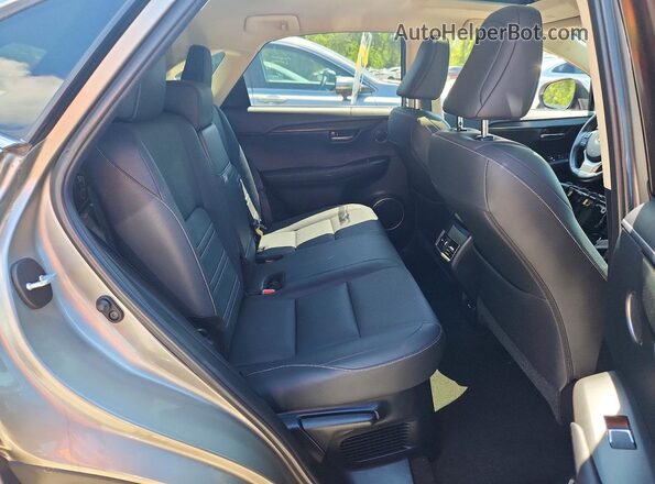 JTJBARBZ1K2184486 2019 LEXUS NX Серебряный Вид задней части салона