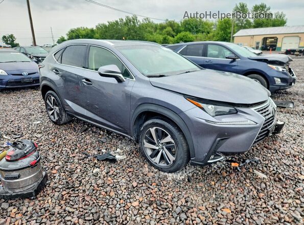 JTJBARBZ1K2211430 2019 LEXUS NX Gray წინა მარჯვენა