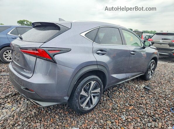 JTJBARBZ1K2211430 2019 LEXUS NX Gray უკანა მარჯვენა