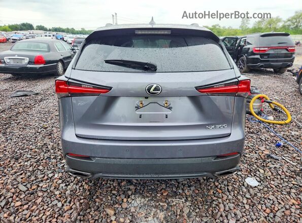 JTJBARBZ1K2211430 2019 LEXUS NX Gray უკანა ხედი