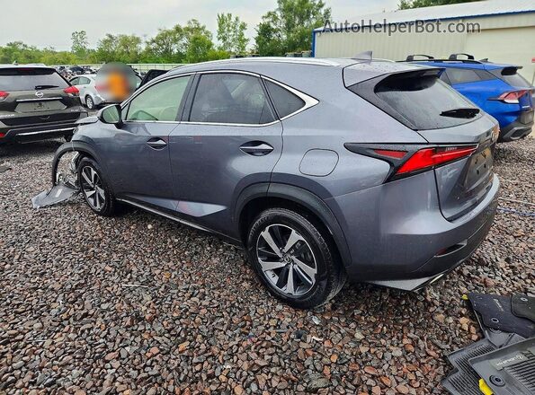 JTJBARBZ1K2211430 2019 LEXUS NX Gray უკანა მარცხენა