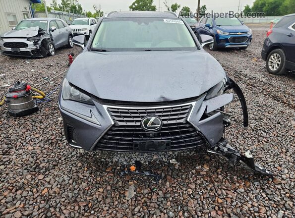 JTJBARBZ1K2211430 2019 LEXUS NX Gray წინა ხედი
