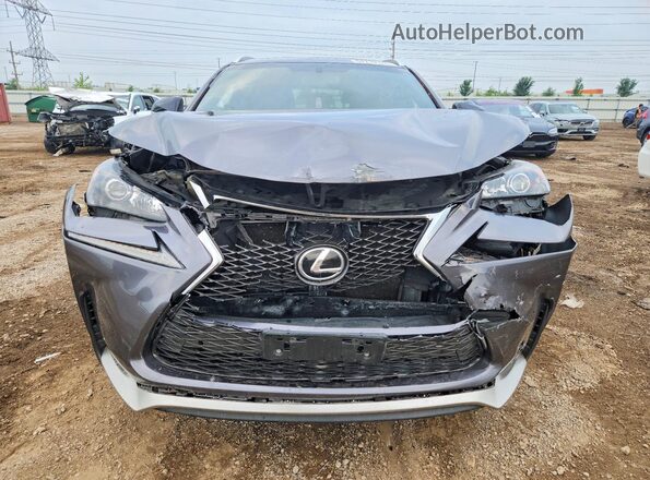 JTJBARBZ3G2056189 2016 LEXUS NX Gray წინა ხედი