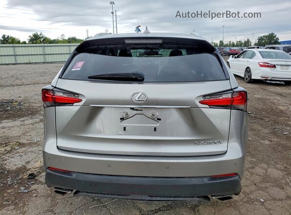 JTJBARBZ3H2101133 2017 LEXUS NX Silver უკანა ხედი