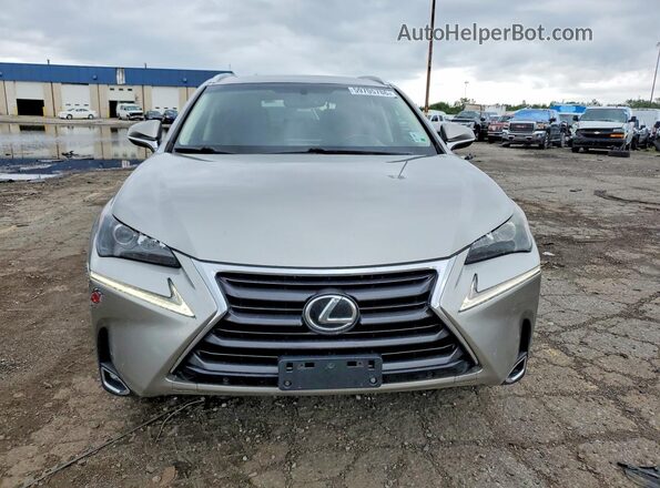 JTJBARBZ3H2101133 2017 LEXUS NX Silver წინა ხედი