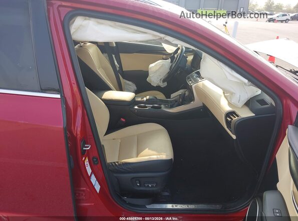 JTJBARBZ3K2193836 2019 LEXUS NX 300 Red წინა სალონის ხედი