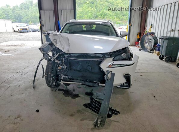 JTJBARBZ4J2160441 2018 LEXUS NX White Widok z przodu