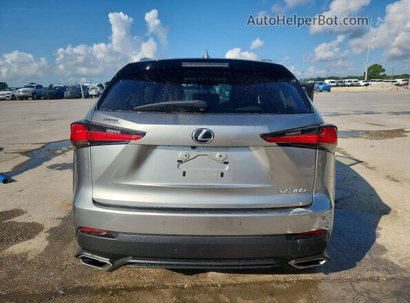 JTJBARBZ4K2188774 2019 LEXUS NX Серебряный Вид сзади