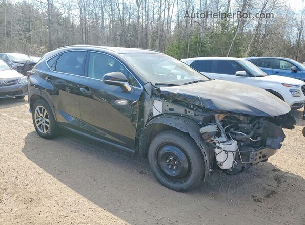 JTJBARBZ4K2190234 2019 LEXUS NX Black Передня права чверть