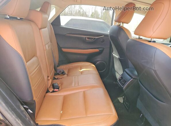 JTJBARBZ4K2190234 2019 LEXUS NX Black Вид задньої частини салону
