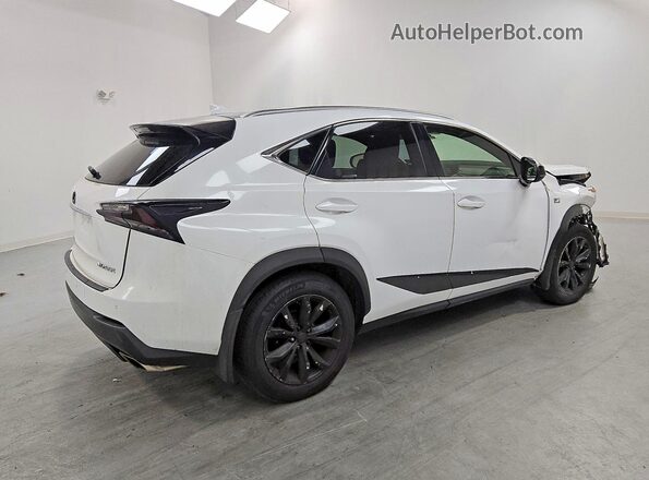 JTJBARBZ5G2084768 2016 LEXUS NX White Tył prawy