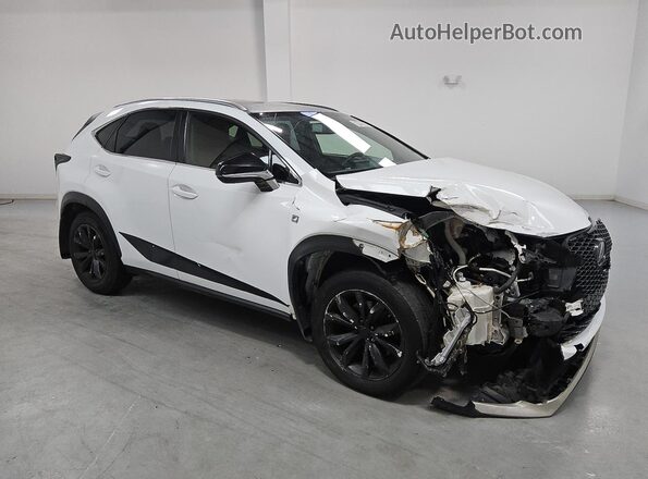 JTJBARBZ5G2084768 2016 LEXUS NX White 