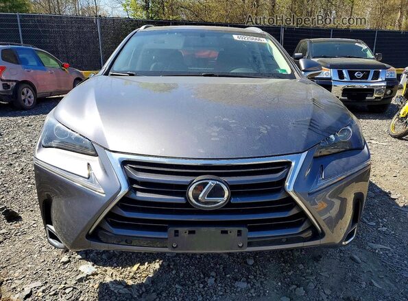 JTJBARBZ5G2095902 2016 LEXUS NX Gray Vista frontal