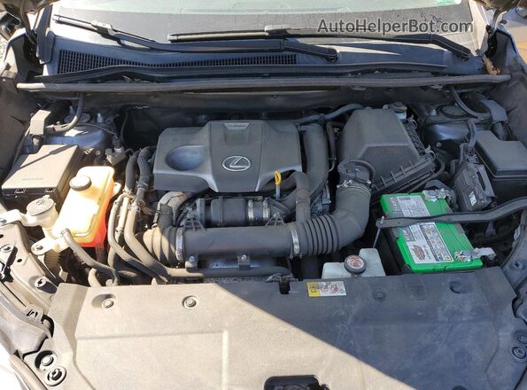 JTJBARBZ5G2095902 2016 LEXUS NX Gray Vista del compartimento del motor