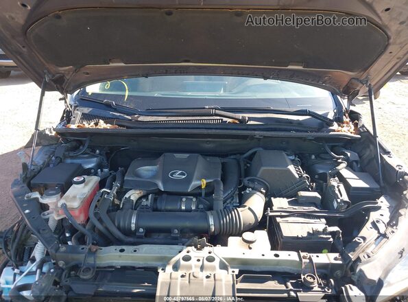 JTJBARBZ5J2151246 2018 LEXUS NX 300 Gray Вид ззаду
