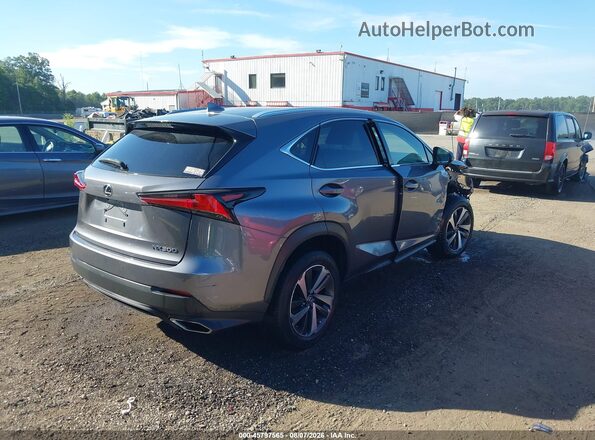 JTJBARBZ5J2151246 2018 LEXUS NX 300 Gray Задня права чверть