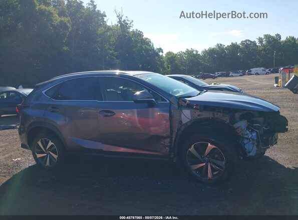 JTJBARBZ5J2151246 2018 LEXUS NX 300 Gray Панорамний вид салону 360°