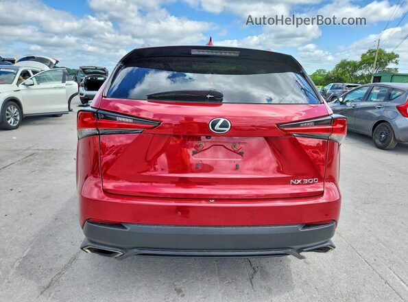 JTJBARBZ5K2212063 2019 LEXUS NX Красный Вид сзади
