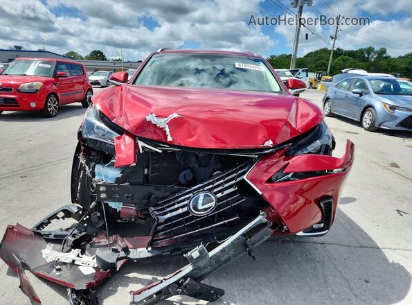JTJBARBZ5K2212063 2019 LEXUS NX Красный Вид спереди