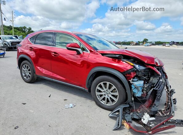 JTJBARBZ5K2212063 2019 LEXUS NX Красный Передняя правая четверть