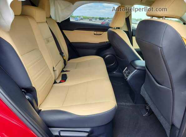 JTJBARBZ5K2212063 2019 LEXUS NX Красный Вид задней части салона