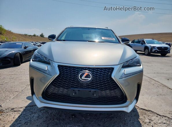 JTJBARBZ6G2062794 2016 LEXUS NX Silver Widok z przodu