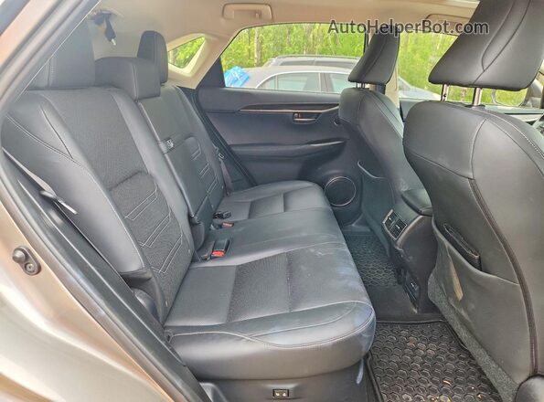 JTJBARBZ6G2076341 2016 LEXUS NX Silver Вид задньої частини салону