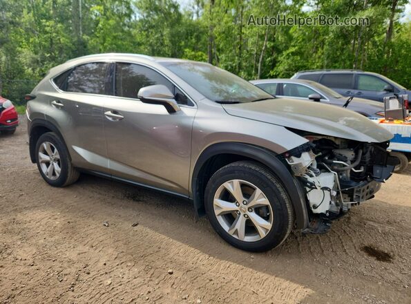 JTJBARBZ6G2076341 2016 LEXUS NX Silver Передня права чверть