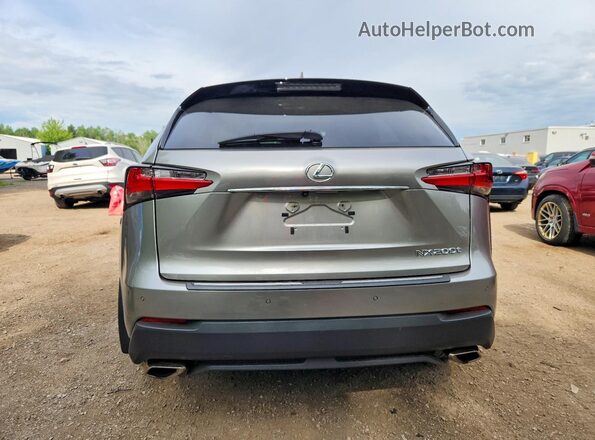 JTJBARBZ6G2076341 2016 LEXUS NX Silver Вид ззаду