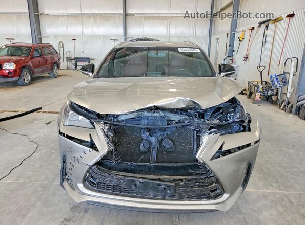JTJBARBZ6H2127516 2017 LEXUS NX Серый Вид спереди