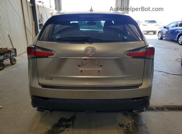 JTJBARBZ6H2127516 2017 LEXUS NX Серый Вид сзади