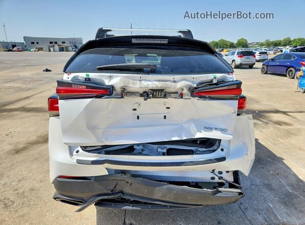 JTJBARBZ6K2197671 2019 LEXUS NX White Հետևի տեսք
