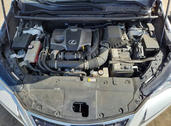 JTJBARBZ6K2197671 2019 LEXUS NX White Սալոնի հետևի տեսք
