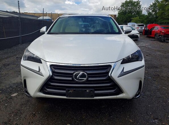 JTJBARBZ7G2077806 2016 LEXUS NX White Vista frontal