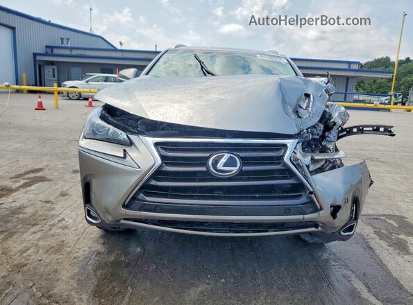 JTJBARBZ7H2104391 2017 LEXUS NX Silver Vista frontal