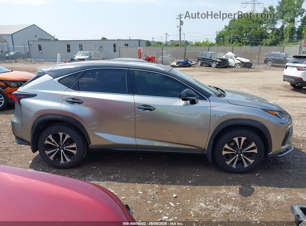 JTJBARBZ7K2190177 2019 LEXUS NX 300 Серый Вид задней части салона