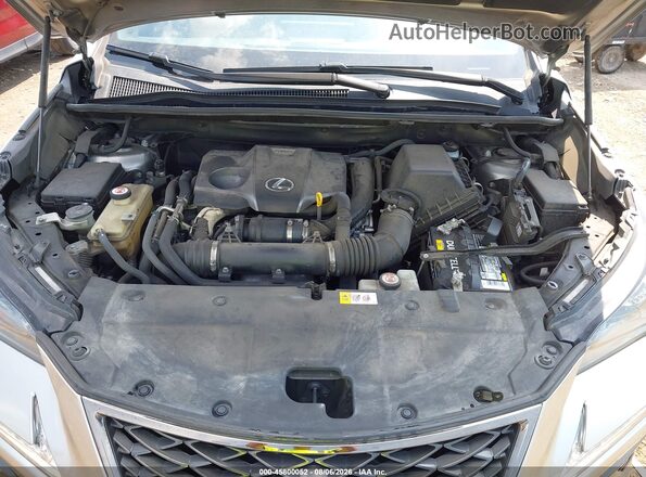 JTJBARBZ7K2190177 2019 LEXUS NX 300 Серый Вид сзади
