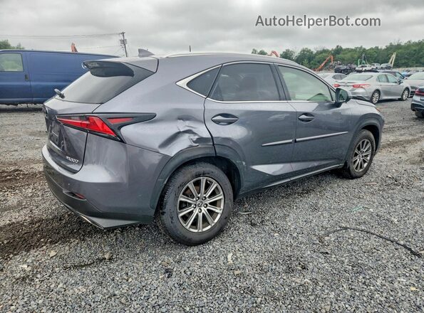JTJBARBZ7K2193080 2019 LEXUS NX Серый Задняя правая четверть
