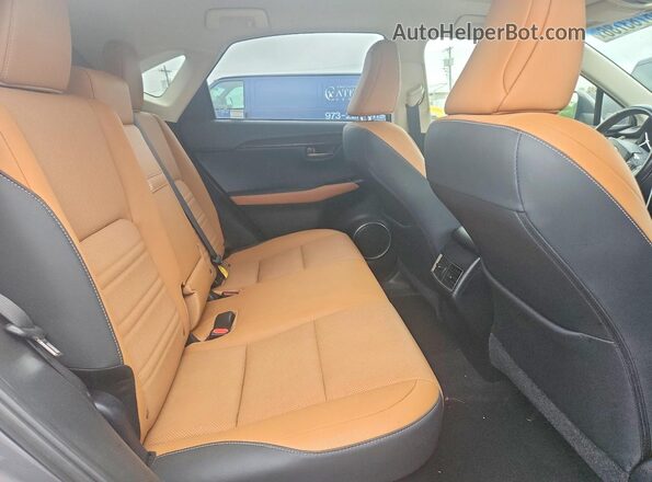 JTJBARBZ7K2193080 2019 LEXUS NX Серый Вид задней части салона