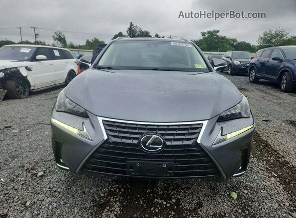 JTJBARBZ7K2193080 2019 LEXUS NX Серый Вид спереди
