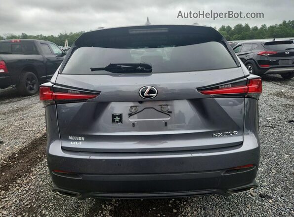 JTJBARBZ7K2193080 2019 LEXUS NX Серый Вид сзади