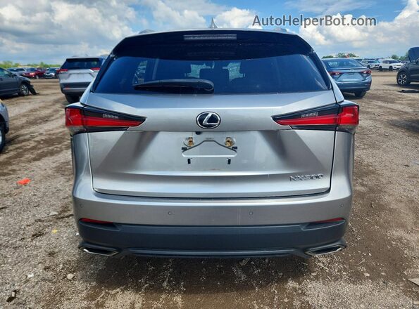 JTJBARBZ7K2196559 2019 LEXUS NX Silver Հետևի տեսք