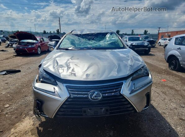 JTJBARBZ7K2196559 2019 LEXUS NX Silver Դիմացի տեսք