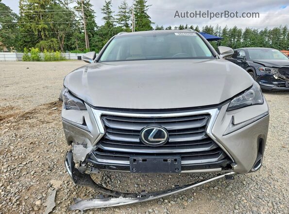 JTJBARBZ8G2066183 2016 LEXUS NX Silver Widok z przodu