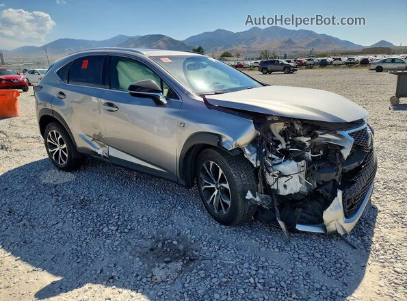 JTJBARBZ8G2079953 2016 LEXUS NX Silver Առջևի աջ
