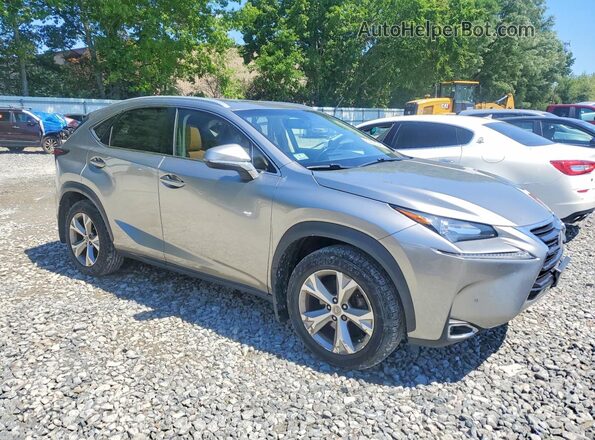 JTJBARBZ8H2103802 2017 LEXUS NX Gray Առջևի աջ
