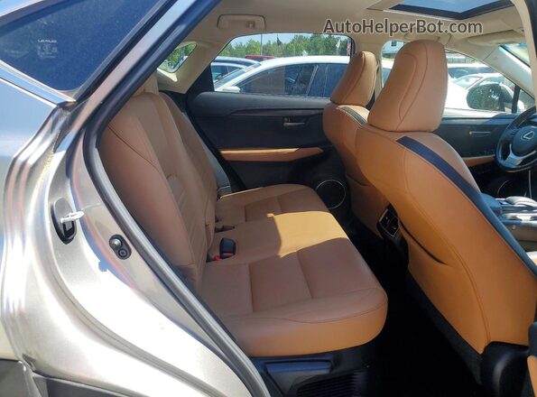 JTJBARBZ8H2103802 2017 LEXUS NX Gray Սալոնի հետևի տեսք